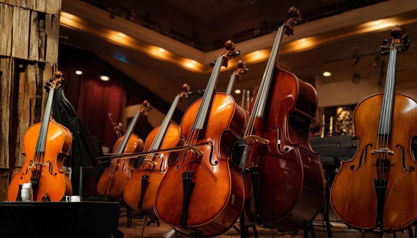 StringSiam violin viola cello double bass